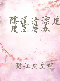 阴道清洁度iv度怎么办