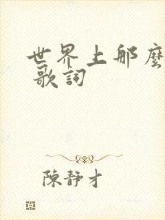 世界上那么多人 歌词