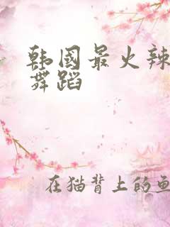 韩国最火辣女团舞蹈