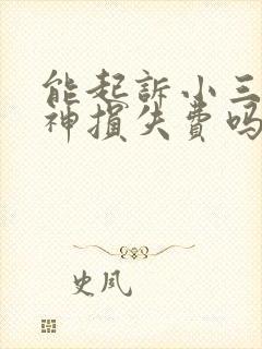 能起诉小三要精神损失费吗