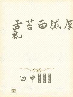 舌苔白腻厚有口气