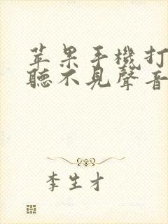 苹果手机打视频听不见声音