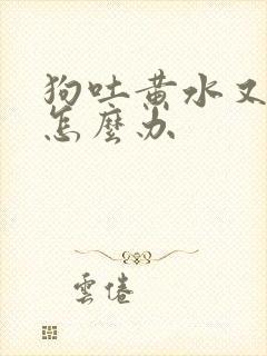 狗吐黄水又拉稀怎么办