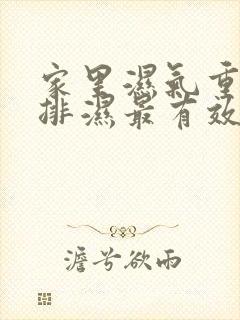 家里湿气重怎么排湿最有效