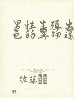 男性生殖出现白色的异物还痒