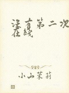 没有第二次的爱在线