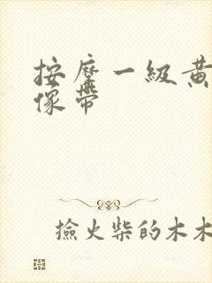 按摩一级黄色录像带