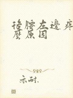 后腰左边疼是什么原因