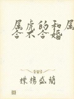 属虎的和属龙的合不合婚