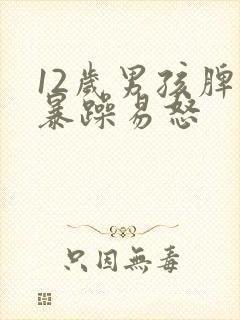 12岁男孩脾气暴躁易怒