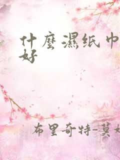 什么湿纸巾比较好