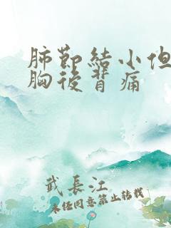 肺节结小但是前胸后背痛