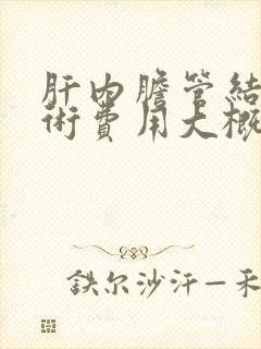 肝内胆管结石手术费用大概多少钱