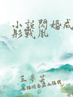 小说闪婚成宠海彤战胤