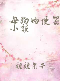 母狗肉便器调教小说