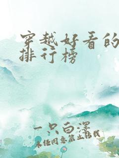 穿越好看的小说排行榜