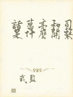 诸葛亮和司马懿是什么关系