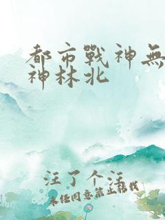 都市战神无敌战神林北