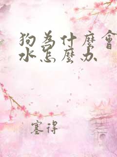 狗为什么会吐黄水怎么办