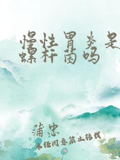 慢性胃炎是幽门螺杆菌吗