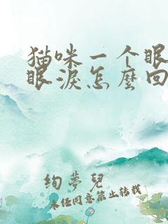 猫咪一个眼睛流眼泪怎么回事