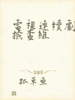 电视连续剧巡回检查组