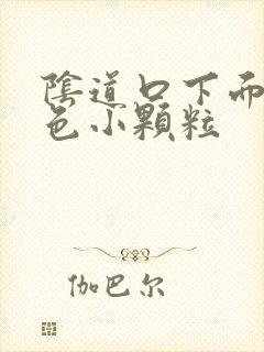 阴道口下面有白色小颗粒