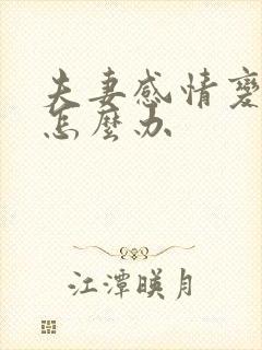 夫妻感情变越淡怎么办