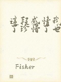 这段感情我认真了珍惜了也在乎了