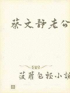 蔡文静老公是谁