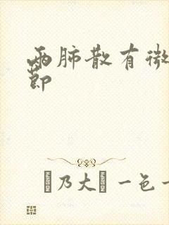 两肺散有微小结节