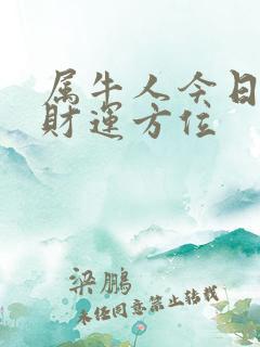 属牛人今日打牌财运方位