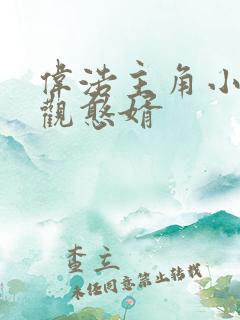 伟浩主角小说贞观憨婿