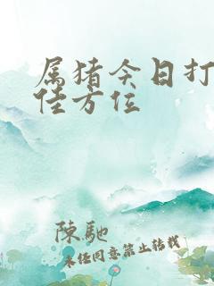 属猪今日打牌最佳方位