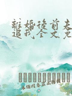 离婚后前夫总想追我全文免费阅读