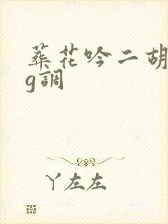 葬花吟二胡曲谱g调