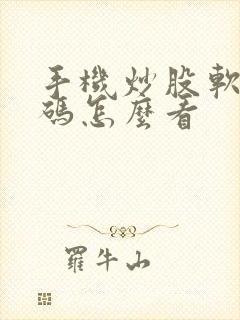 手机炒股软件筹码怎么看