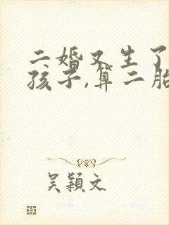 二婚又生了一个孩子,算二胎吗