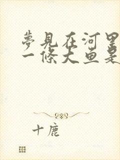 梦见在河里抓到一条大鱼是什么征兆