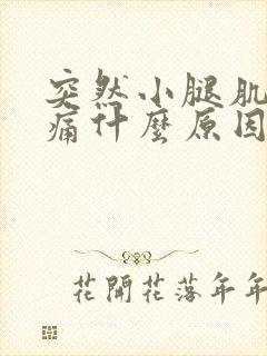 突然小腿肌肉酸痛什么原因