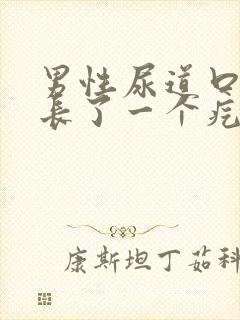 男性尿道口下面长了一个疙瘩