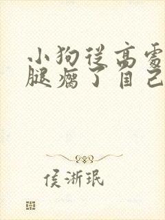 小狗从高处摔下腿瘸了自己会好吗