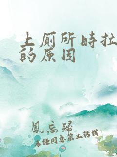 上厕所时拉出血的原因