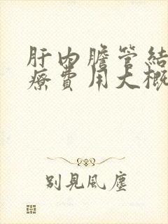 肝内胆管结石治疗费用大概是多少