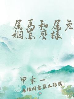 属马和属兔的婚姻怎么样