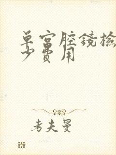 单宫腔镜检查多少费用