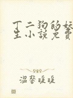 丁二狗的妖孽人生小说免费阅读