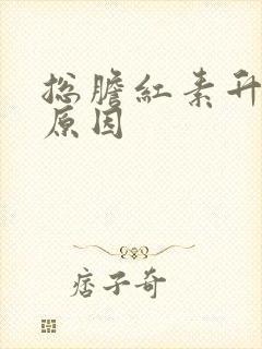 总胆红素升高的原因