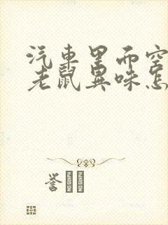 汽车里面空调有老鼠异味怎么办