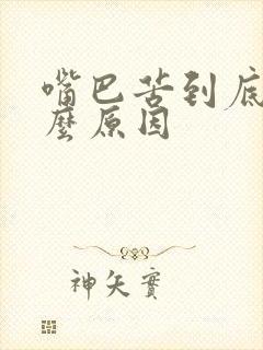 嘴巴苦到底是什么原因